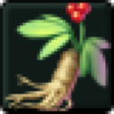 Saam King's Herbs