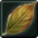 Winter Leaf