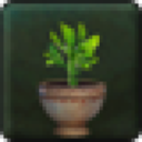 Recovery Guestbloom