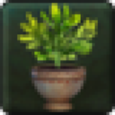 Divinity Guestbloom