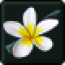 Summer Flower